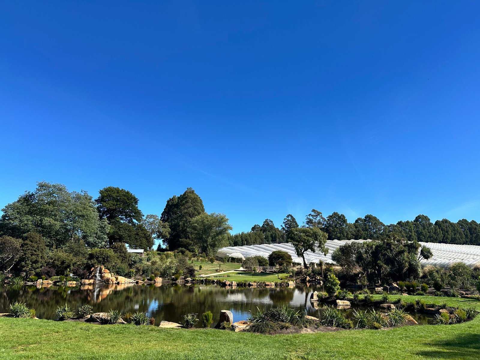 A landscaped garden with a pond, surrounded by trees and greenhouses under a clear blue sky