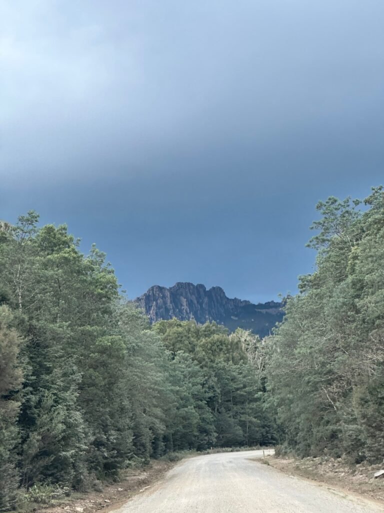 A gravel road leading through dense forest towards a rocky mountain